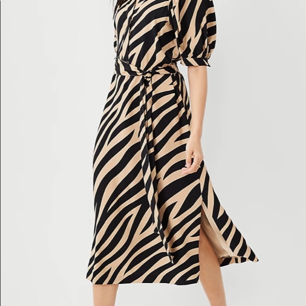 Zebra striped belted shirtdress